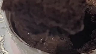 كيكة الشكولاطة Bowlcake صحية و مشبعة جدا متعة الدايت بدون حرمان Explore Healthy اكسبلور 