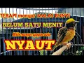 Download Lagu PANCINGAN AMPUH burung manyar yang MALAS BUNYI, Cocok untuk MANYAR MUDA atau MANYAR OMBYOKAN