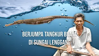 Download BERJUMPA IKAN TANGKUR BUAYA YANG SEMAKIN LANGKA MP3