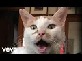 Download Lagu We Are Scientists - Not Another Word (Lyric Video)