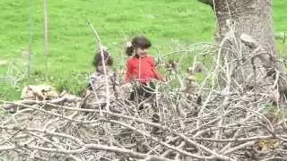 Hasan Zerak حەسەن زیرەک قوربانتبم ئەی بای شەوێ 