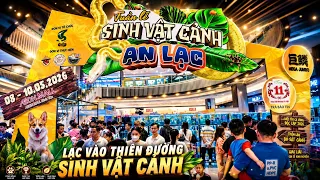 Tuần Lễ Sinh Vật Cảnh An Lạc | Lạc vào thiên đường sinh vật cảnh tại Aeon Mall Bình Tân  Betta Sales