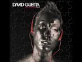 David Guetta - Love Don't Let Me Go