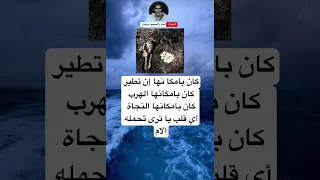 كان بامكا نها إن تطير كان بامكانها الهرب كان بامكانها النجاة أي قلب يا ترى تحملهالام 