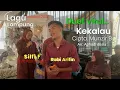 Download Lagu Kekalau - Duet viral... Robi Arifin Ft Silfi F // cipta. Munzir B/live Arr Apriadi dósia @APACE.Tv-