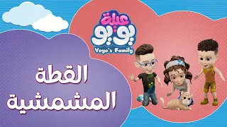 القطة المشمشية أغاني للأطفال YOYO Family 