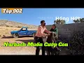 Lagu | Zainab - Tập 302 | Nurbach Bất Ngờ Đến Muốn Đưa Con Gái Đi - Zainab Chống Trả Quyết Liệt