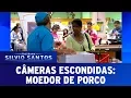Download Lagu Moedor de Porco | Câmeras Escondidas (26/11/17)