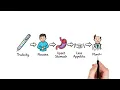 Trulicity Explained Uses Benefits How It Works Side Effects Weekly Injection Guide