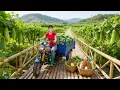 Download Lagu TIMELAPSE -- Harvest Wild Bitter Gourd, Process into Delicious Dishes and Sell at the Market