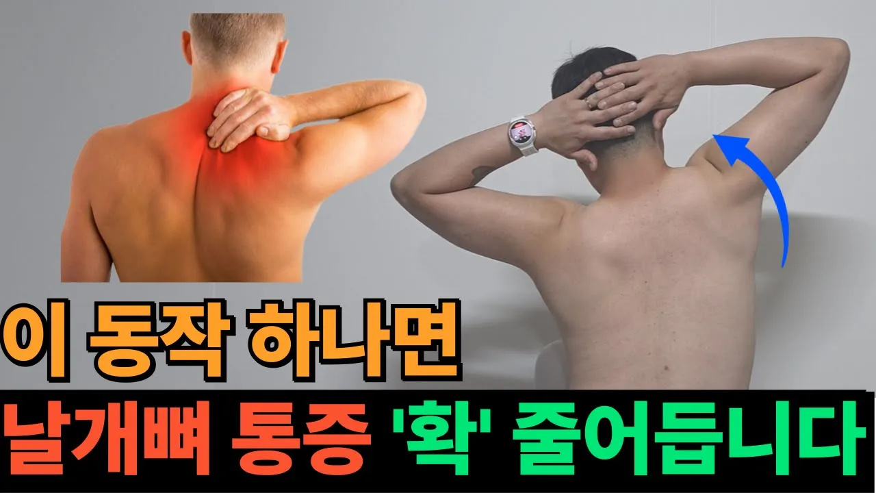 아무도 알려주지 않던, 날개뼈 통증을 부르는 사소한 생활 습관 #견갑골통증 #어깨스트레칭 #날개뼈통증 아무도 알려주지 않던, 날개뼈 통증을 부르는 사소한 생활 습관 #견갑골통증 #어깨스트레칭 #날개뼈통증