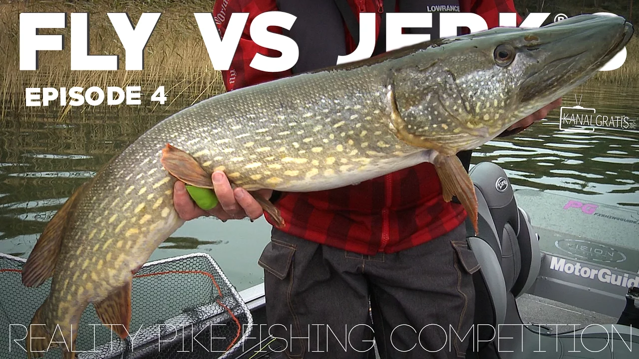 video Fly vs jerk 8