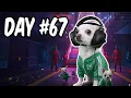 Lagu I Survived Squid Game… As a Dog?! 