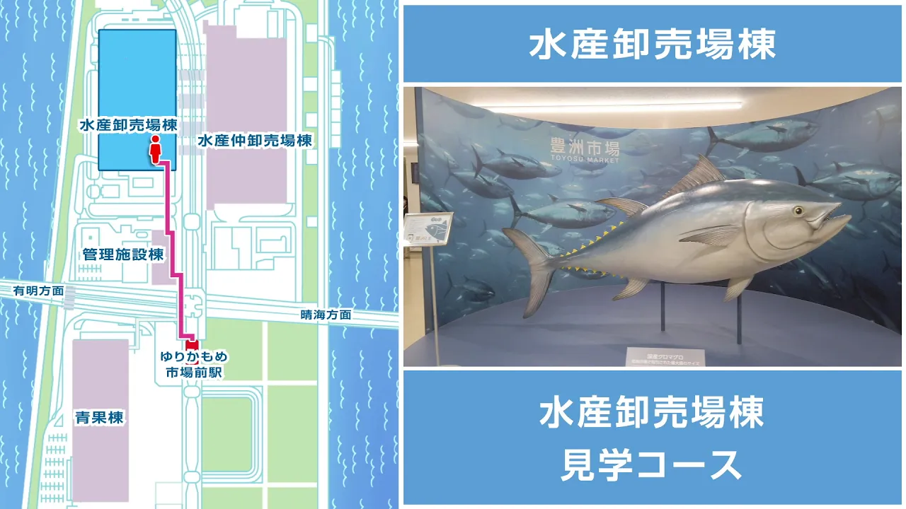 Amazing Tokyo Tuna Auction – Toyosu & Tsukiji Outer Market Tour with Nationally Licensed Guide