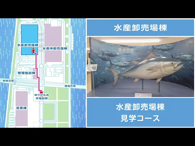 Amazing Tokyo Tuna Auction – Toyosu & Tsukiji Outer Market Tour with Nationally Licensed Guide