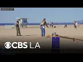 Protecting our coastlines How the Bay Foundation is restoring Santa Monica s sand dunes