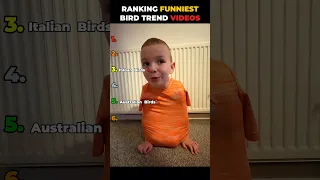 Ranking Best Bird Trend Videos  Ranking Best Bird Trend Videos