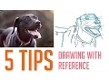 5 Tips on How I Draw From Reference For Beginners