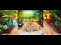 Lagu Top Banks, Steel Chest - Too Phat | M5 Riddim [Official Audio]