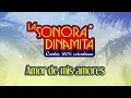 Amor de Mis Amores - La Sonora Dinamita (Audio) | Discos Fuentes