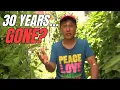 Download Lagu I'm No Longer Raw Vegan After 30 Years - Here's Why