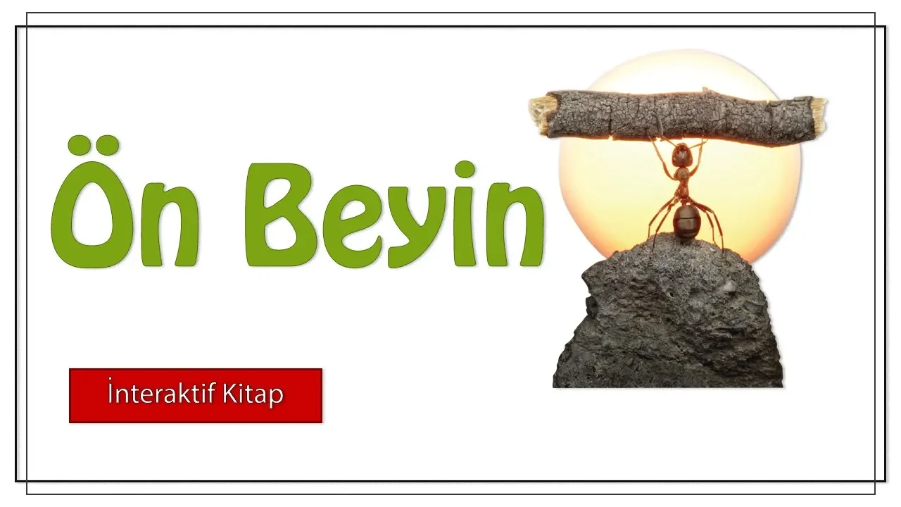 Ön Beyin #sayfa18