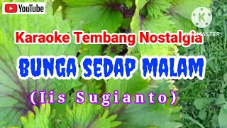 Download Karaoke Nostalgia. / BUNGA SEDAP MALAM. / Iis Sugianto. MP3