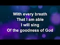 Goodness God of bethel (lyrics)