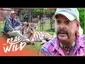 Download Lagu Joe Exotic: The Story Of The Tiger King | Predator Pets | Real Wild