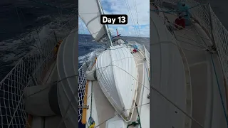 Day 13 sailing solo from Oregon to hawaii. Daily tasks while battling seasickness.