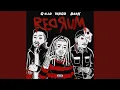 Download Lagu NVM