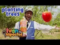 Planting Trees for Kids! | Ivan Inspects Planting An Apple Tree
