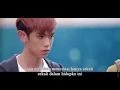 Download Lagu Official video Armada - Sakitnya mencintaimu