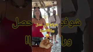 ماتحاوليش لأول مرة كواليس أغنية ميس دعاء الجديدة حصري 
