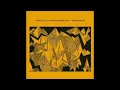 Parallelle & Nicolas Masseyeff - Renegade (Adam Ten & Mita Gami Remix)