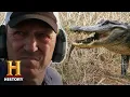 Swamp People Serpent Invasion GATOR NEST PYTHON HUNT Season 2 History