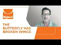 Download Lagu The Butterfly Has Broken Wings