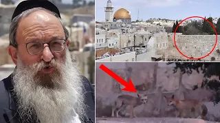 מדהים תופעות לא מוסברות שקורות בזמן האחרון בכותל המערבי 