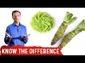 Fake Wasabi vs Real Wasabi