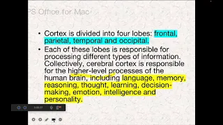 MODULE-4 FUNCTIONS OF THE BRAIN AREAS