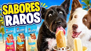 Lana y Mel PRUEBAN HELADOS para PERROS de SABORES MUY RAROS 🍦🐶