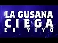 La Gusana Ciega - Cielo de limon (envivo) London Pub