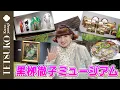 Download Lagu 【軽井沢の新名所誕生！？】黒栁徹子ミュージアムへようこそ！