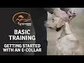 Basic Training Getting Started with an E-Collar