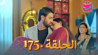 ملح الحب الحلقة 175 