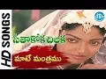 Download Lagu Maate Mantramu Song - Seethakoka Chiluka Movie | Karthik | Aruna Mucherla | Silk Smitha | Ilaiyaraja