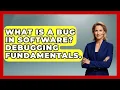 What Is A Bug In Software Debugging Fundamentals - Learn To Troubleshoot