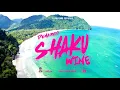 Demarco - Shaku Wine (Official Audio)