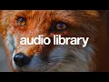Download Lagu Fresh Up – tubebackr (No Copyright Music)