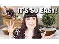 EASY STEPS to becoming an Alternative Mortician